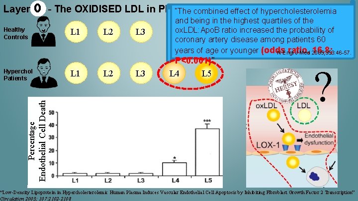 Layer 0 Healthy Controls Percentage Endothelial Cell Death Hyperchol Patients - The OXIDISED LDL