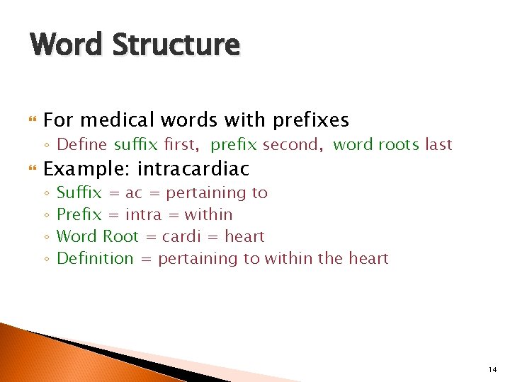 Word Structure For medical words with prefixes ◦ Define suffix first, prefix second, word