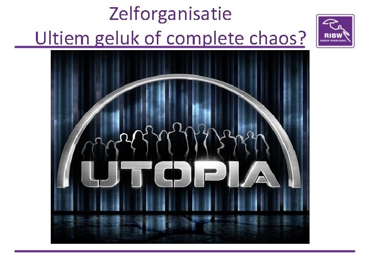 Zelforganisatie Ultiem geluk of complete chaos? 