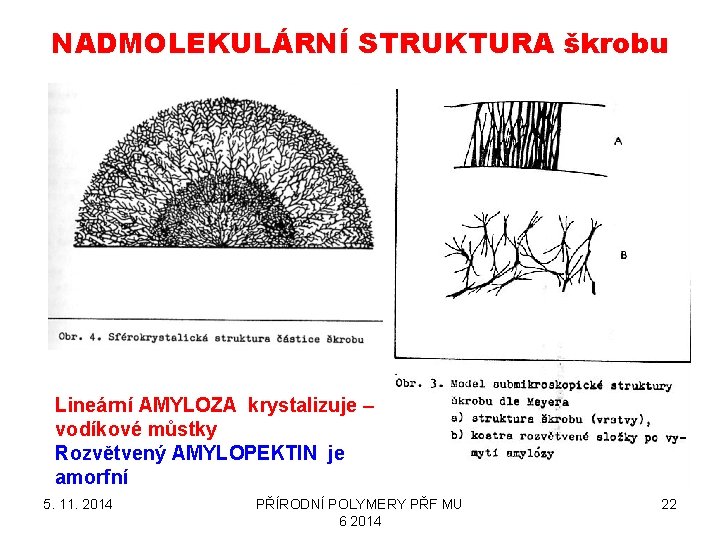 NADMOLEKULÁRNÍ STRUKTURA škrobu Lineární AMYLOZA krystalizuje – vodíkové můstky Rozvětvený AMYLOPEKTIN je amorfní 5.