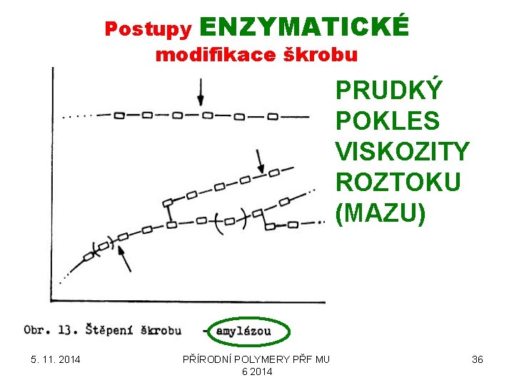 Postupy ENZYMATICKÉ modifikace škrobu PRUDKÝ POKLES VISKOZITY ROZTOKU (MAZU) 5. 11. 2014 PŘÍRODNÍ POLYMERY