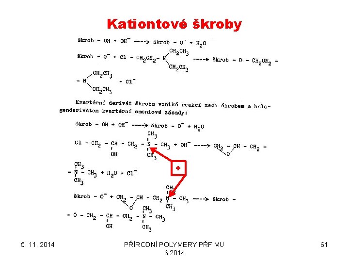 Kationtové škroby + 5. 11. 2014 PŘÍRODNÍ POLYMERY PŘF MU 6 2014 61 