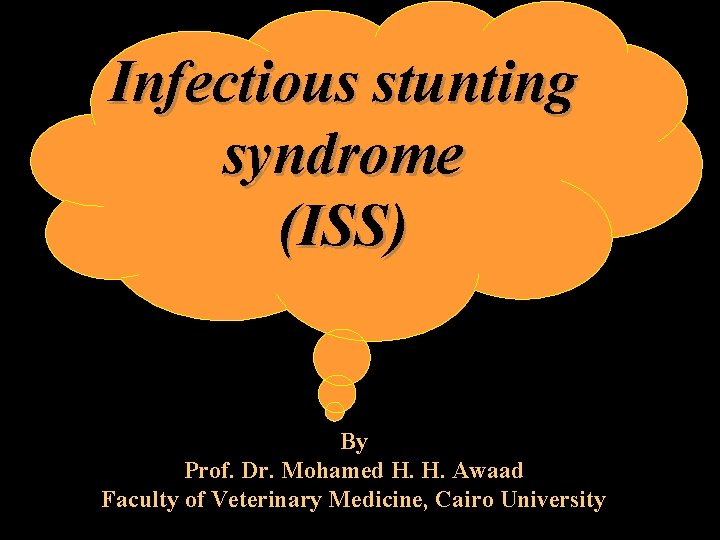 Infectious stunting syndrome (ISS) By Prof. Dr. Mohamed H. H. Awaad Faculty of Veterinary