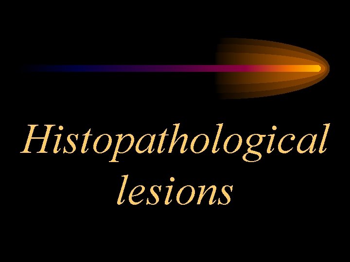Histopathological lesions 