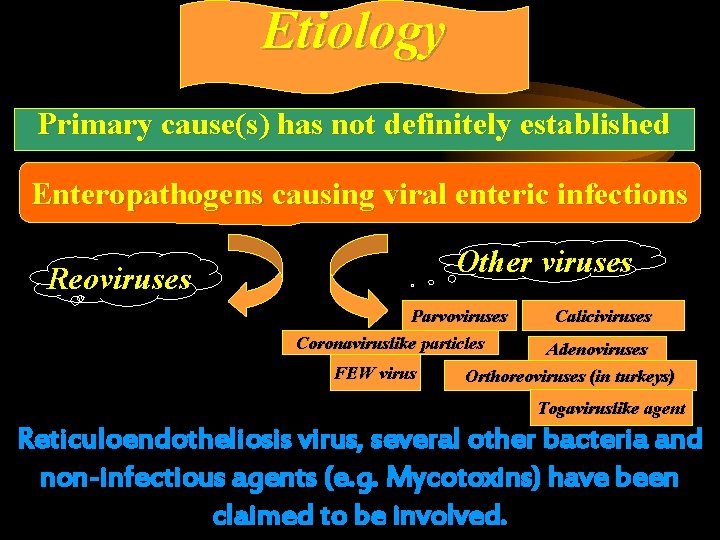 Etiology Primary cause(s) has not definitely established Enteropathogens causing viral enteric infections Other viruses