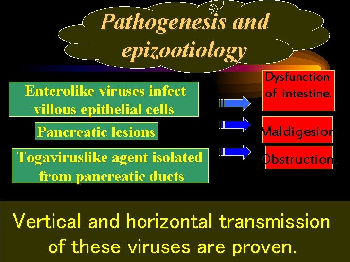 Pathogenesis and epizootiology Enterolike viruses infect villous epithelial cells Pancreatic lesions Togaviruslike agent isolated