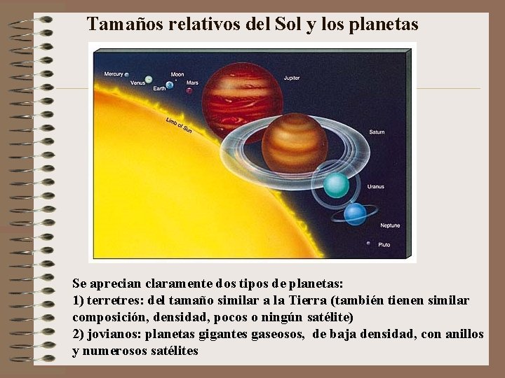 Tamaños relativos del Sol y los planetas Se aprecian claramente dos tipos de planetas: