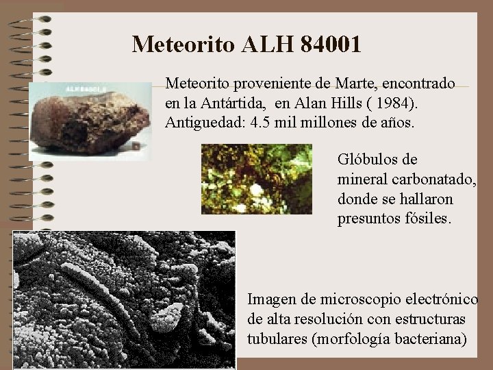 Meteorito ALH 84001 Meteorito proveniente de Marte, encontrado en la Antártida, en Alan Hills