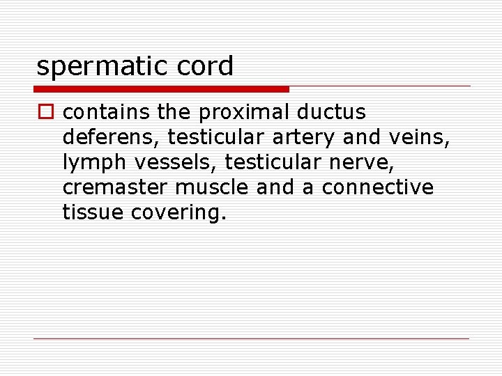 spermatic cord o contains the proximal ductus deferens, testicular artery and veins, lymph vessels,