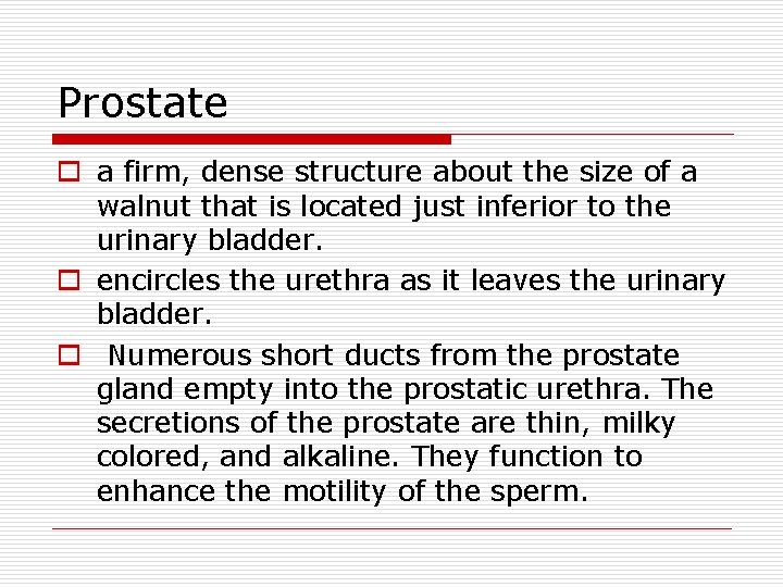 Prostate o a firm, dense structure about the size of a walnut that is