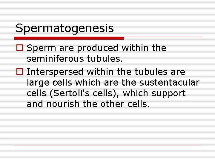 Spermatogenesis o Sperm are produced within the seminiferous tubules. o Interspersed within the tubules