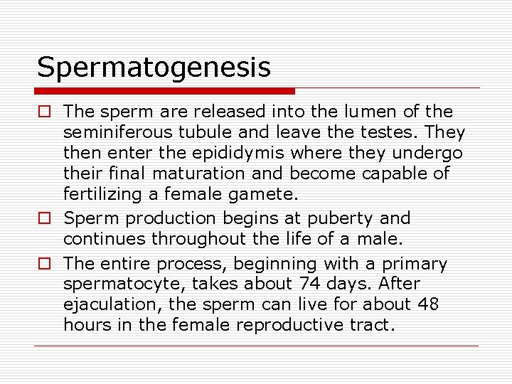 Spermatogenesis o The sperm are released into the lumen of the seminiferous tubule and