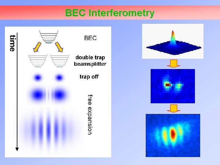 BEC Interferometry 