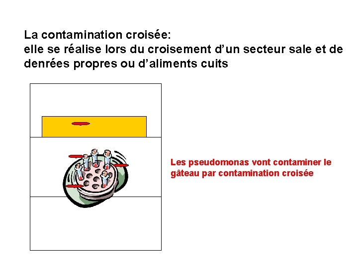 La contamination croisée: elle se réalise lors du croisement d’un secteur sale et de