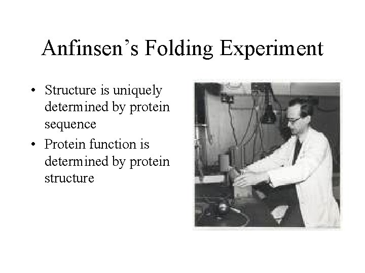 Anfinsen’s Folding Experiment • Structure is uniquely determined by protein sequence • Protein function
