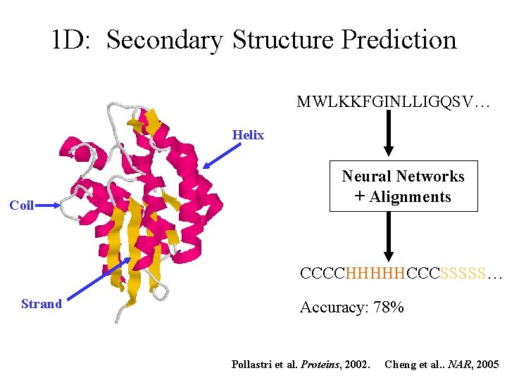1 D: Secondary Structure Prediction MWLKKFGINLLIGQSV… Helix Coil Neural Networks + Alignments CCCCHHHHHCCCSSSSS… Strand