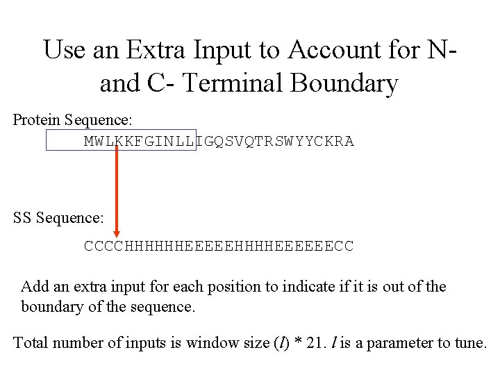 Use an Extra Input to Account for N- and C- Terminal Boundary Protein Sequence: