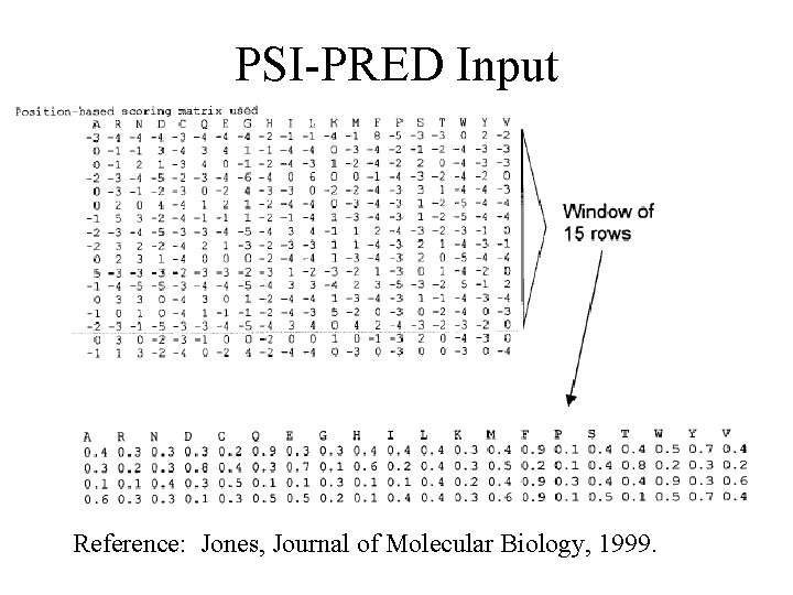 PSI-PRED Input Reference: Jones, Journal of Molecular Biology, 1999. 