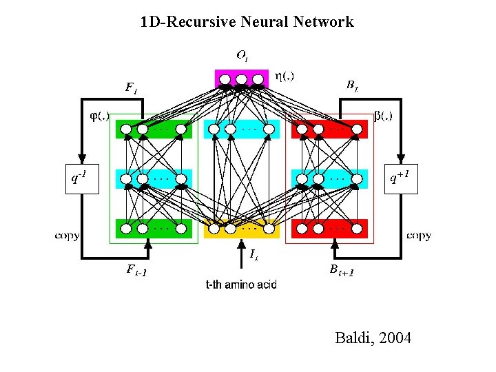 1 D-Recursive Neural Network Baldi, 2004 