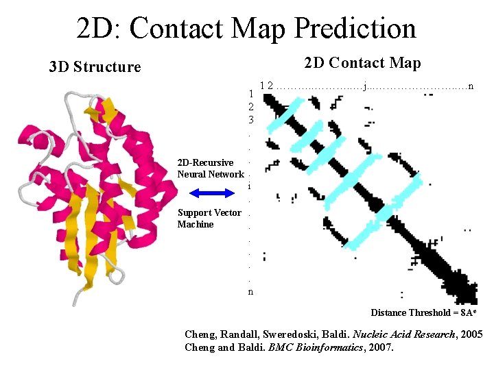 2 D: Contact Map Prediction 3 D Structure 2 D Contact Map 1 2