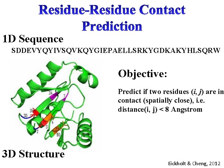 1 D Sequence SDDEVYQYIVSQVKQYGIEPAELLSRKYGDKAKYHLSQRW Objective: Predict if two residues (i, j) are in contact