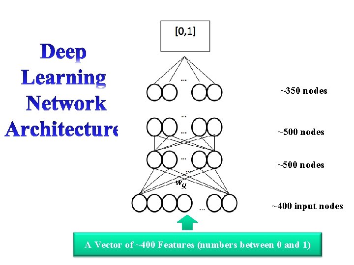 ~350 nodes ~500 nodes wi, j ~400 input nodes A Vector of ~400 Features