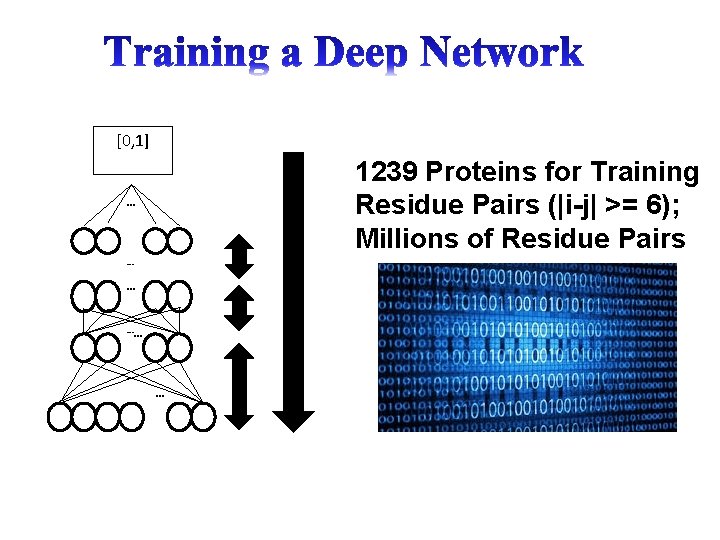 [0, 1] 1239 Proteins for Training Residue Pairs (|i-j| >= 6); Millions of Residue