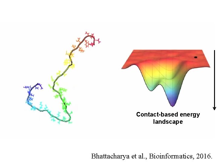Contact-based energy landscape Bhattacharya et al. , Bioinformatics, 2016. 