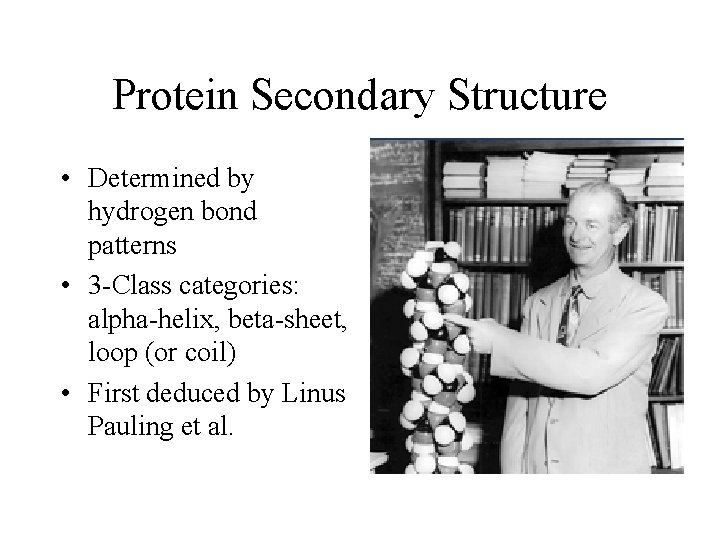 Protein Secondary Structure • Determined by hydrogen bond patterns • 3 -Class categories: alpha-helix,