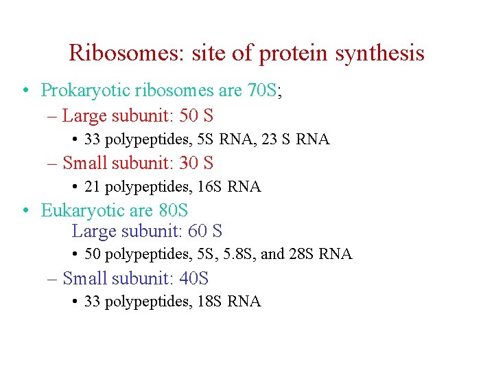 Ribosomes: site of protein synthesis • Prokaryotic ribosomes are 70 S; – Large subunit: