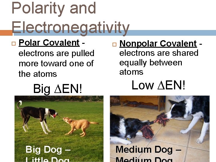 Polarity and Electronegativity Polar Covalent electrons are pulled more toward one of the atoms