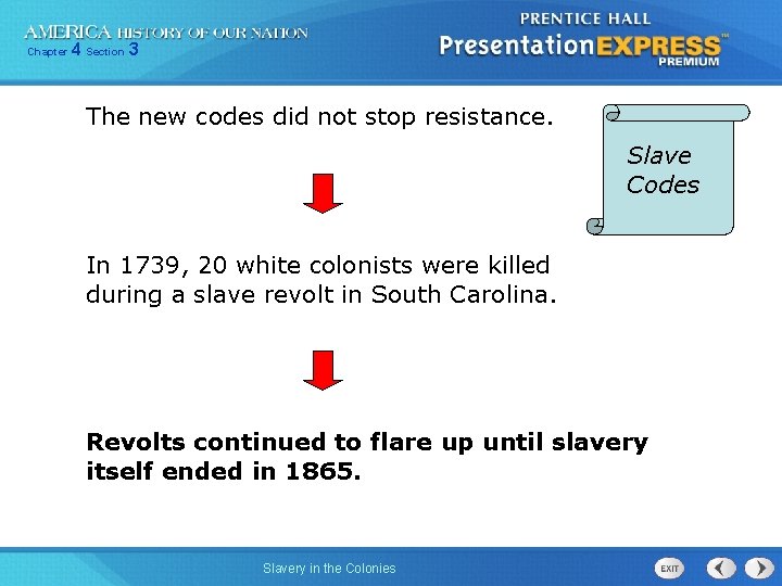 Chapter 4 Section 3 The new codes did not stop resistance. Slave Codes In