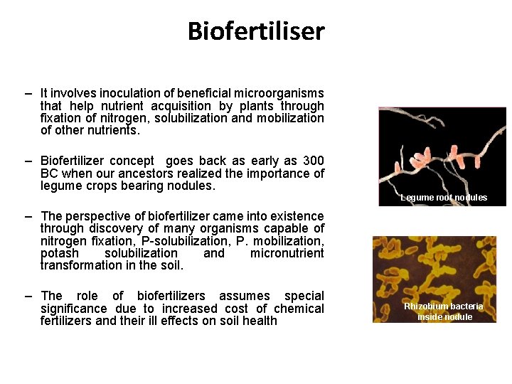 Biofertiliser – It involves inoculation of beneficial microorganisms that help nutrient acquisition by plants