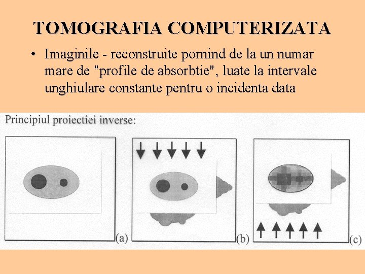 TOMOGRAFIA COMPUTERIZATA • Imaginile - reconstruite pornind de la un numar mare de "profile