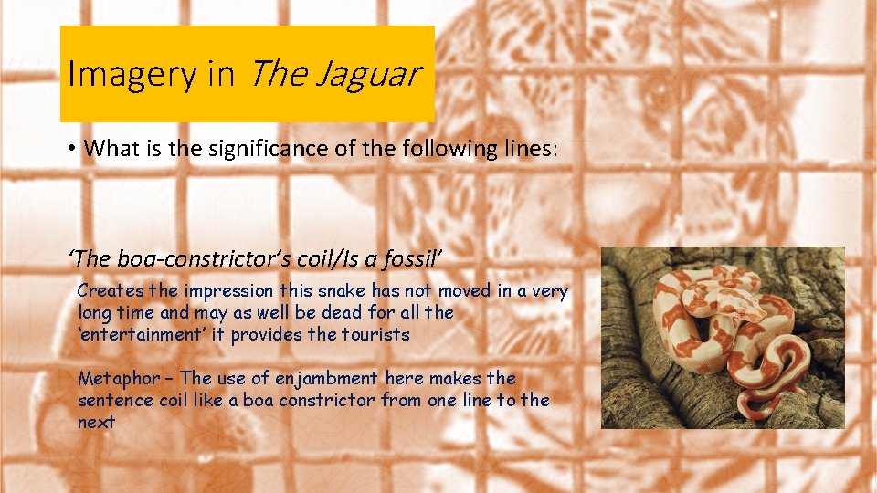 Imagery in The Jaguar • What is the significance of the following lines: ‘The