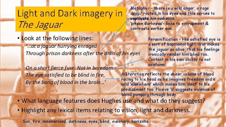 Light and Dark imagery in The Jaguar Metaphor – there is a wild anger,