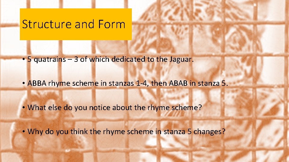 Structure and Form • 5 quatrains – 3 of which dedicated to the Jaguar.
