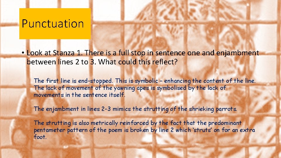 Punctuation • Look at Stanza 1. There is a full stop in sentence one