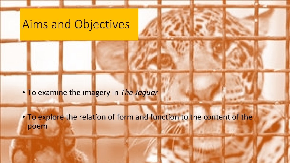 Aims and Objectives • To examine the imagery in The Jaguar • To explore