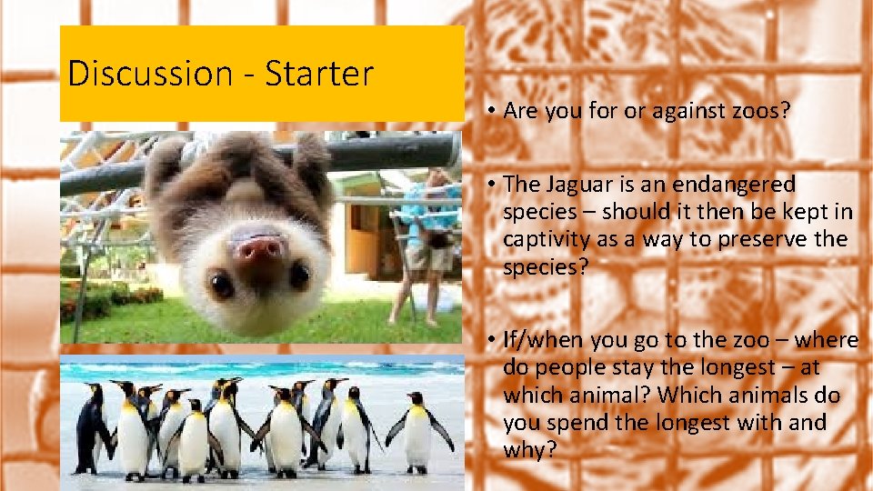 Discussion - Starter • Are you for or against zoos? • The Jaguar is