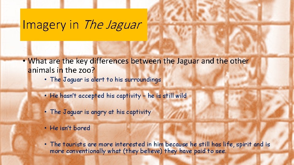 Imagery in The Jaguar • What are the key differences between the Jaguar and