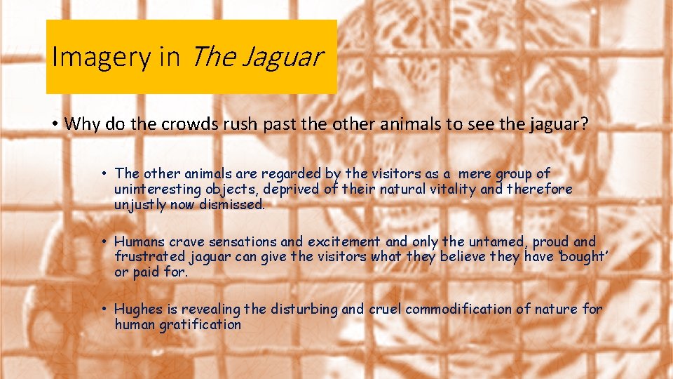 Imagery in The Jaguar • Why do the crowds rush past the other animals