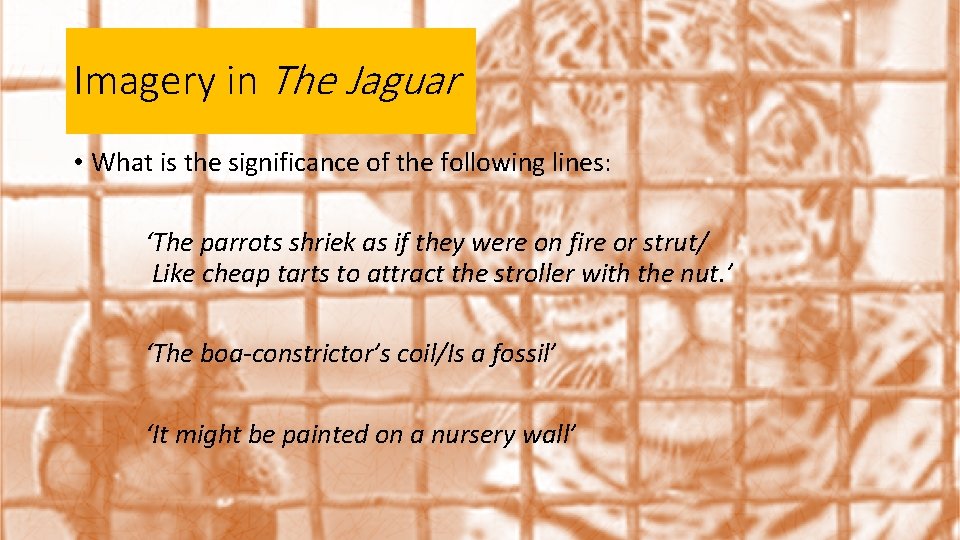 Imagery in The Jaguar • What is the significance of the following lines: ‘The
