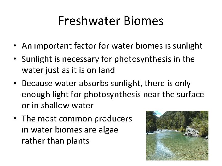 Freshwater Biomes • An important factor for water biomes is sunlight • Sunlight is