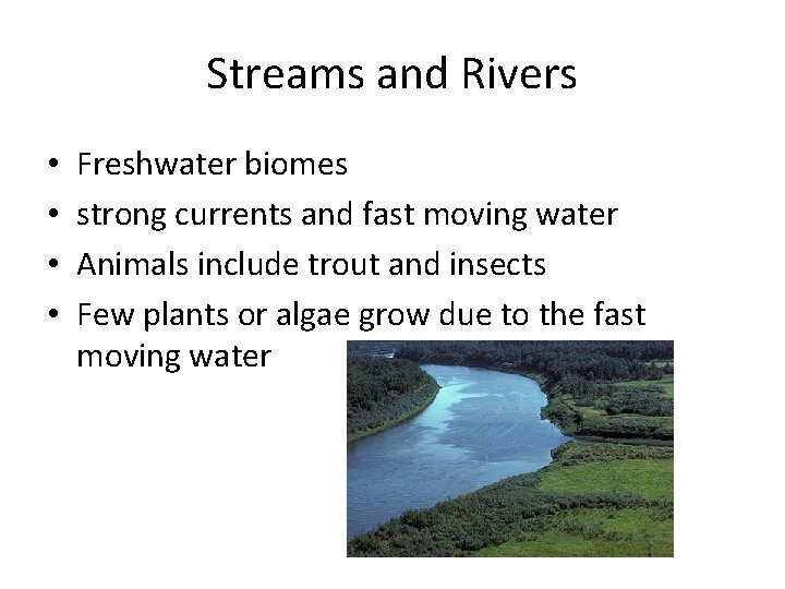 Streams and Rivers • • Freshwater biomes strong currents and fast moving water Animals