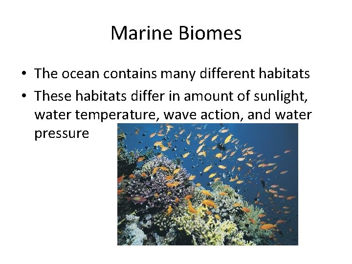 Marine Biomes • The ocean contains many different habitats • These habitats differ in