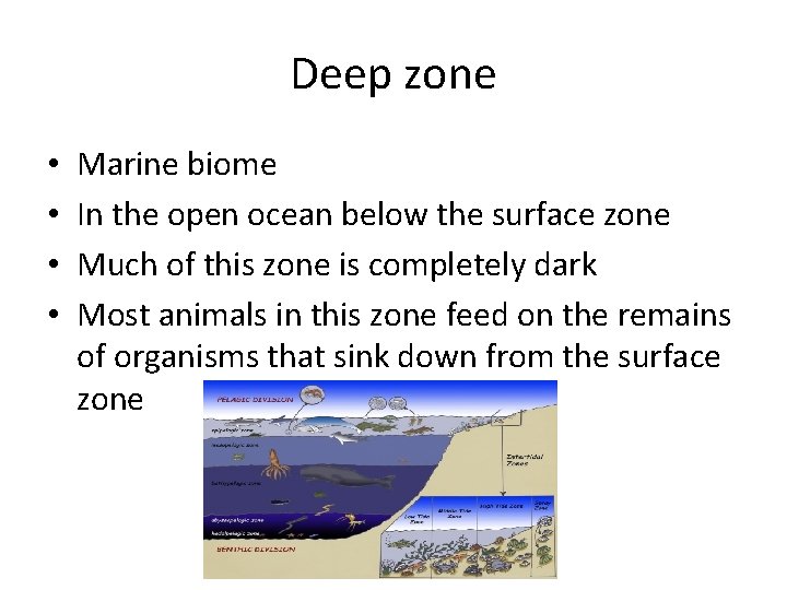 Deep zone • • Marine biome In the open ocean below the surface zone