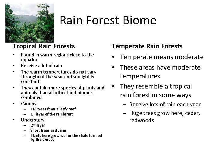 Rain Forest Biome Tropical Rain Forests • • • Found in warm regions close