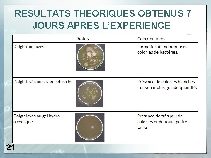 RESULTATS THEORIQUES OBTENUS 7 JOURS APRES L’EXPERIENCE 21 