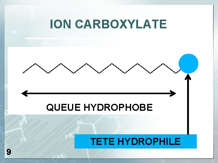 ION CARBOXYLATE QUEUE HYDROPHOBE TETE HYDROPHILE 9 